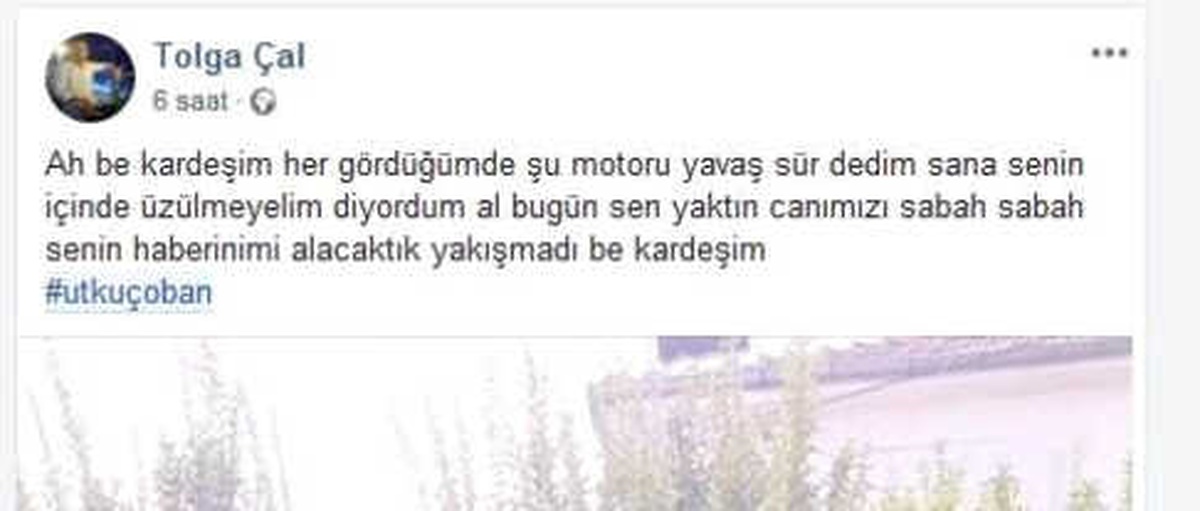 Köpeğe Çarpmamak İçin Direksiyonu Kırdı, Canından Oldu