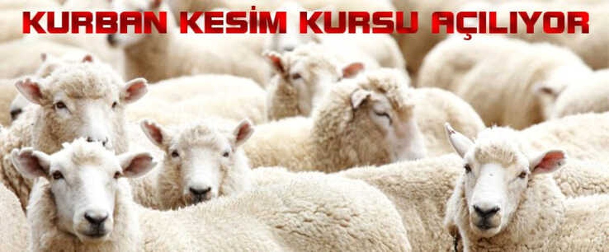 Kumluca\'da Kurban Kesim Kursu Açılacak