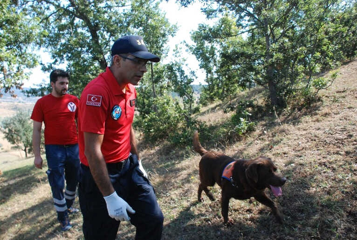 Minik Evrim\'i Arama Çalışmalarına Kadavra Köpeği Katıldı