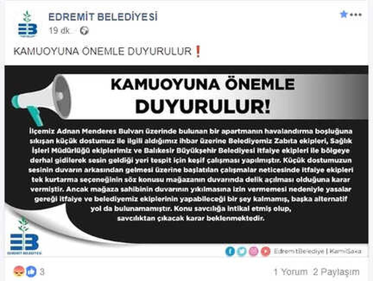Ölüme Terk Edilen Kedi ile İlgili Açıklama Yapıldı