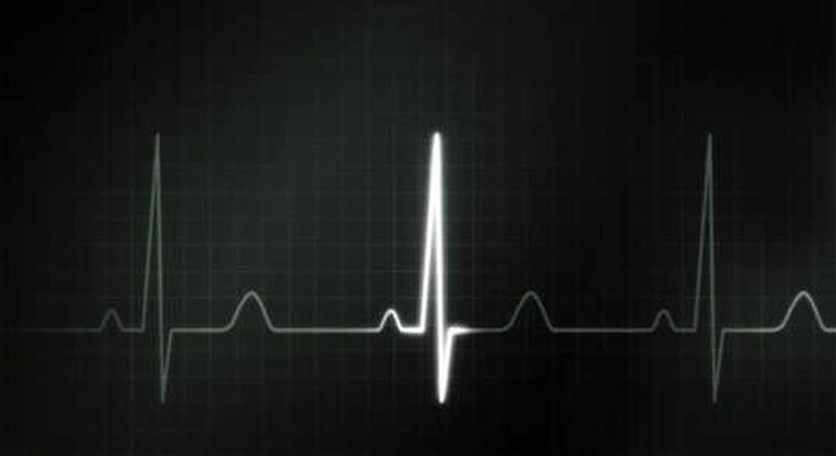Truenord, Pulsecheck\'i Hizmete Sundu