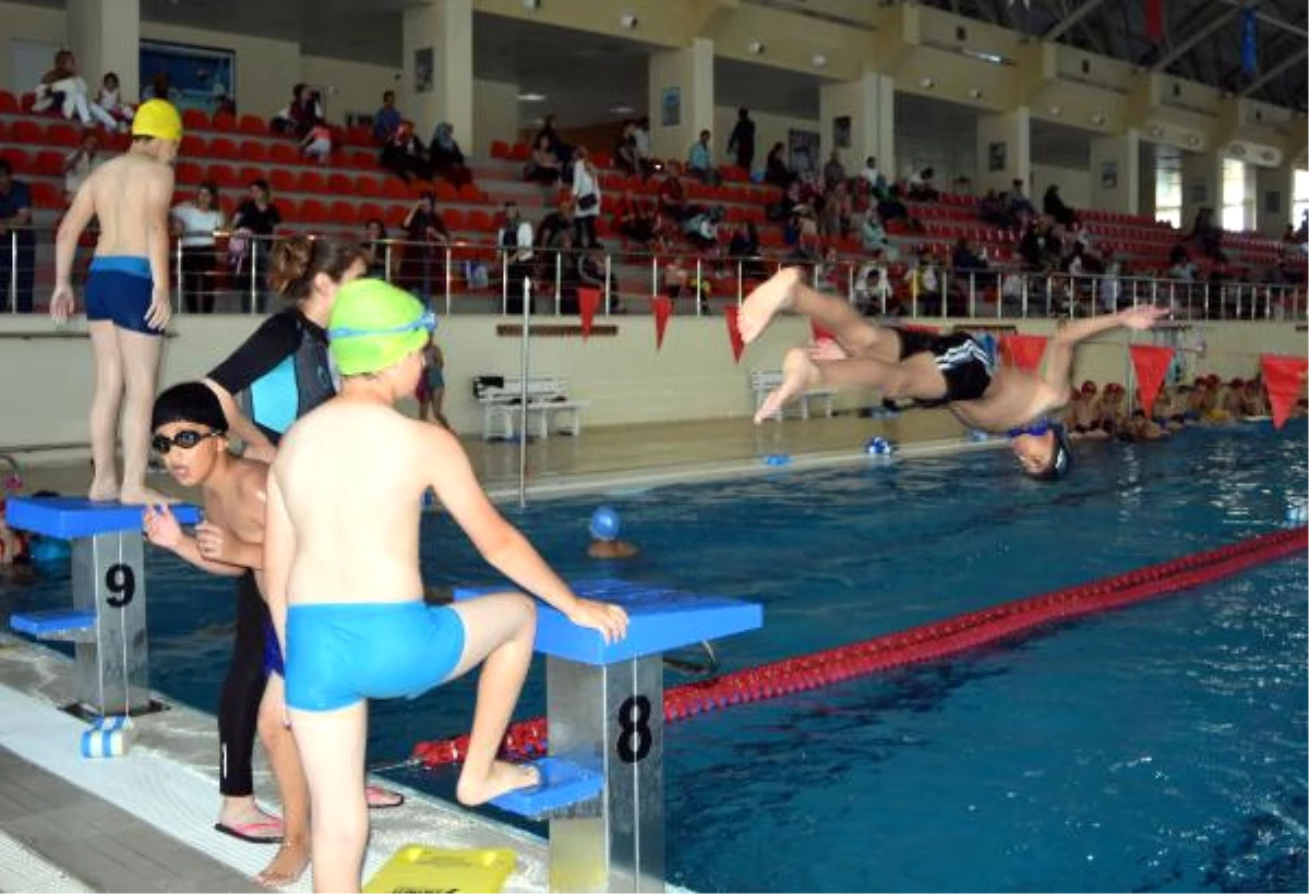 Vanlı Çocuklar, Olimpik Havuzda Yüzme Öğreniyor