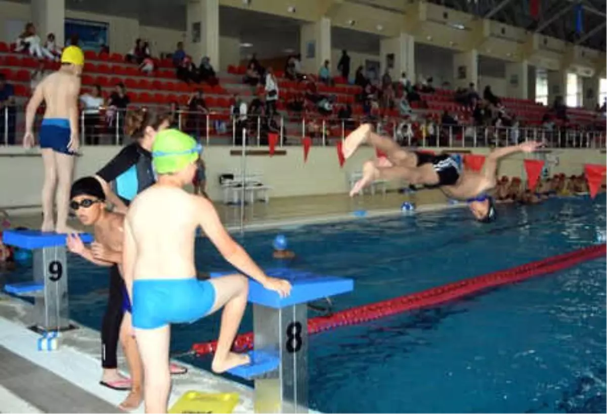 Vanlı Çocuklar, Olimpik Havuzda Yüzme Öğreniyor