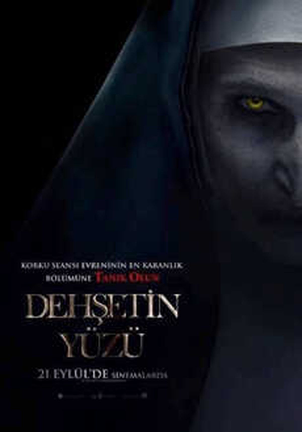 Dehşetin Yüzü Filmi