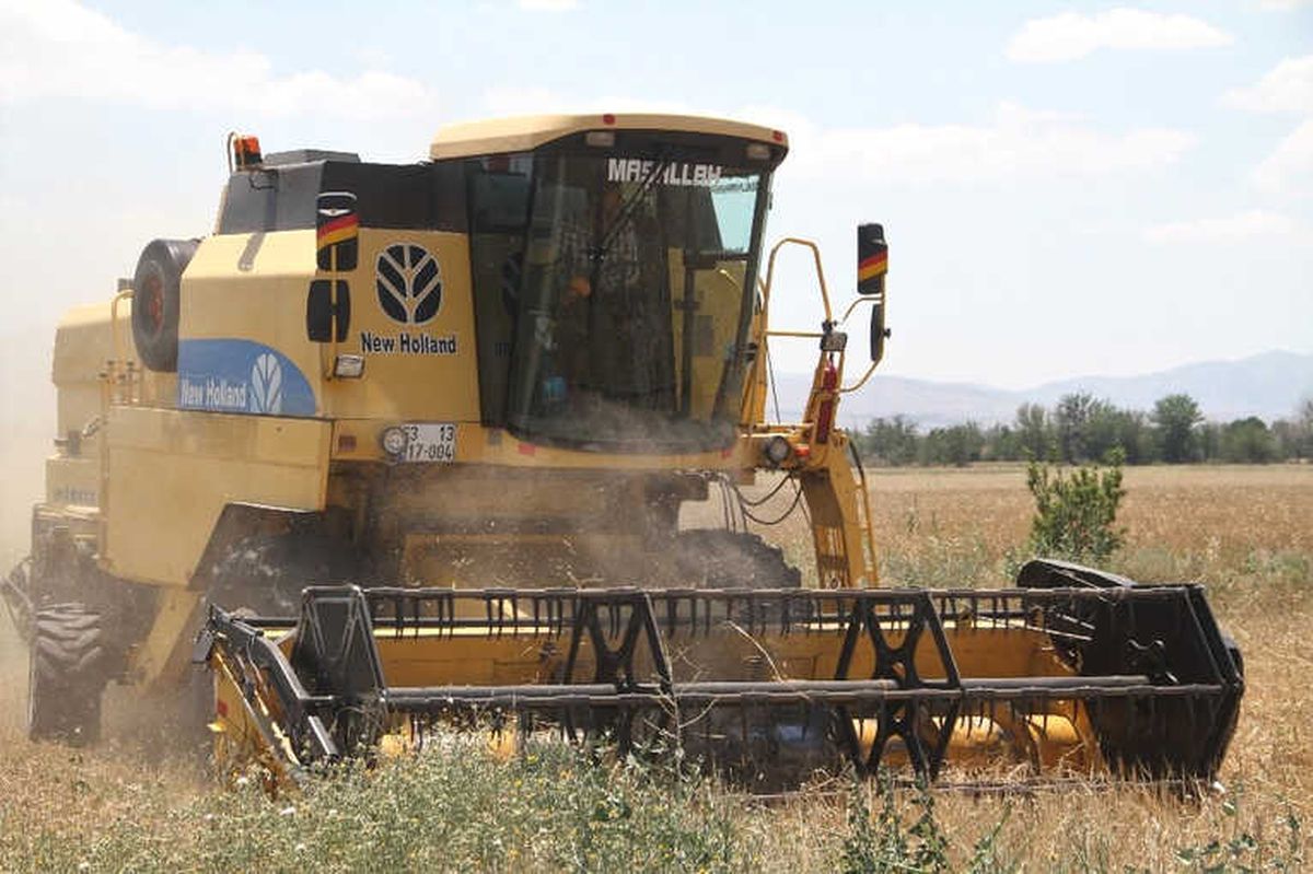 Elazığ\'da 1 Milyon Dekar Alanda Hububat Hasadı