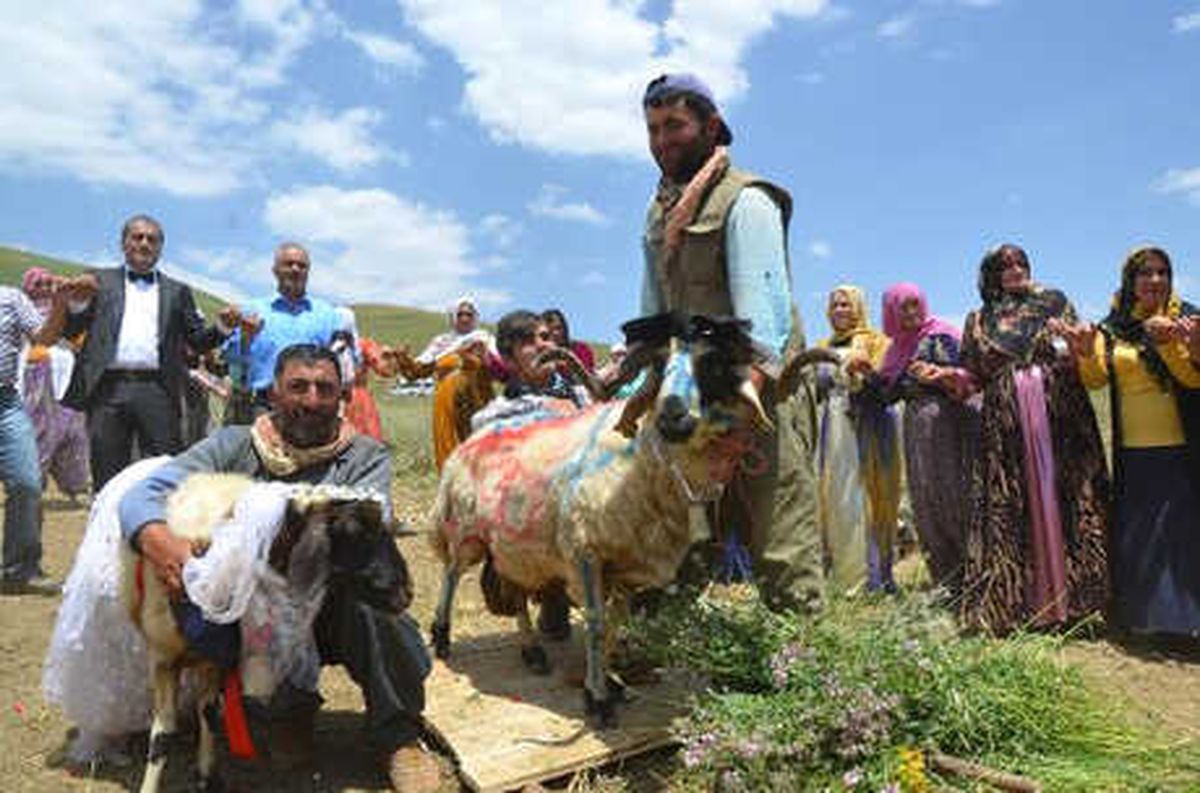 Hakkari\'de Sıradışı Düğün