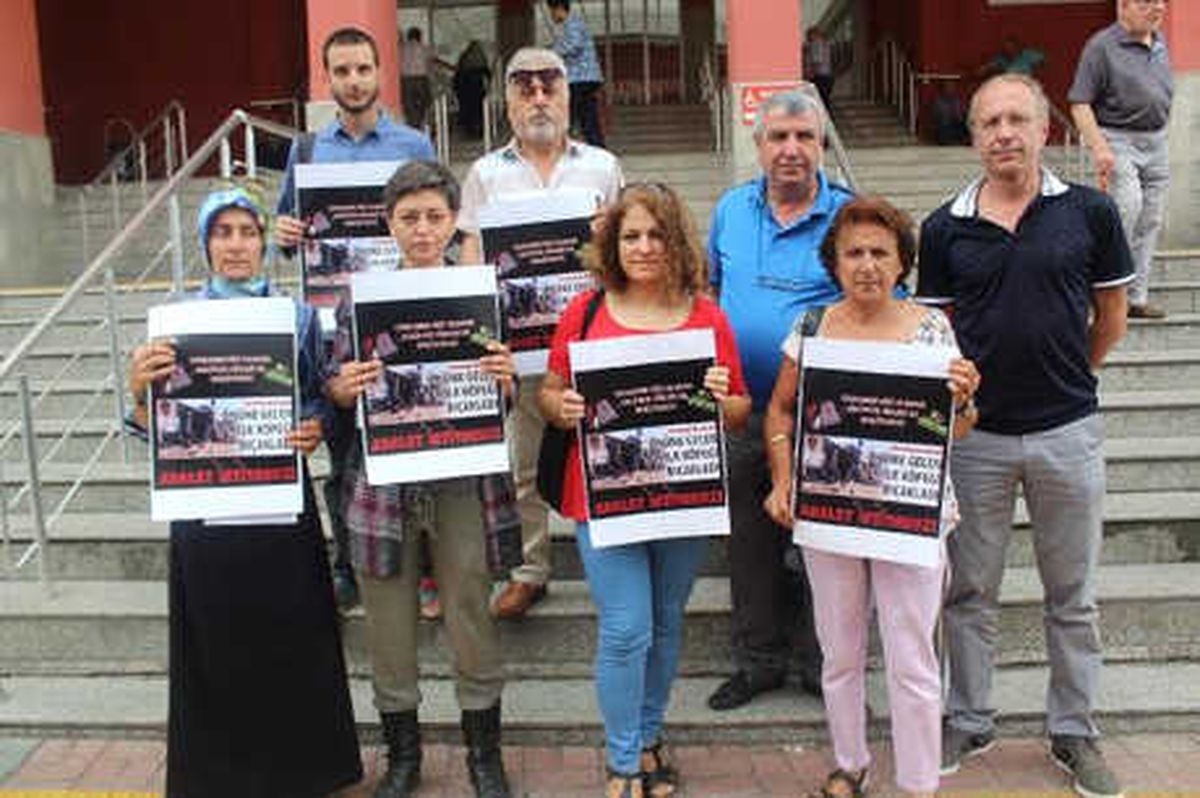 Hayvanseverlerden, Köpeği Bıçaklayarak Öldüren Profesöre Tepki
