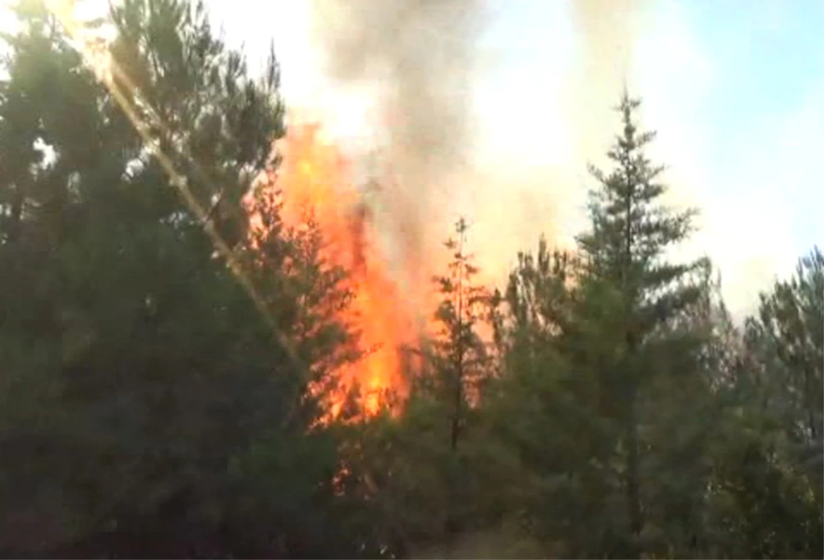 İzmir\'deki Orman Yangını Kontrol Altına Alındı