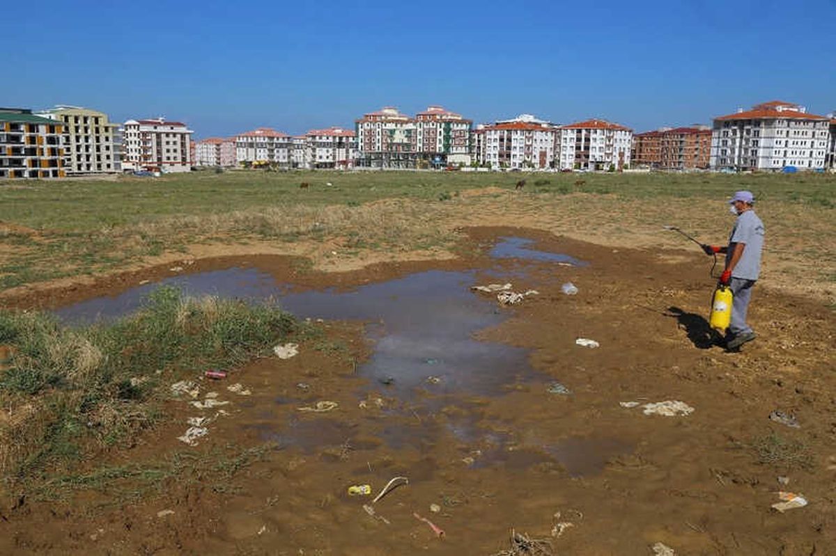 Kırklareli\'nde Haşere İlaçlama Çalışmaları Sürüyor