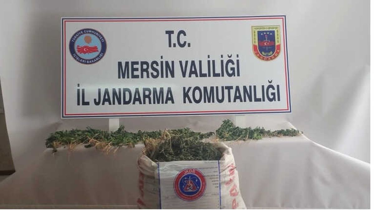 Mersin\'de 43 Kilo Esrar Ele Geçirildi