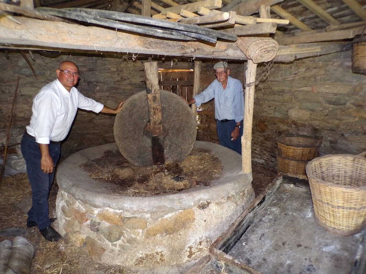 Söke\'de Müzelik Yağhane
