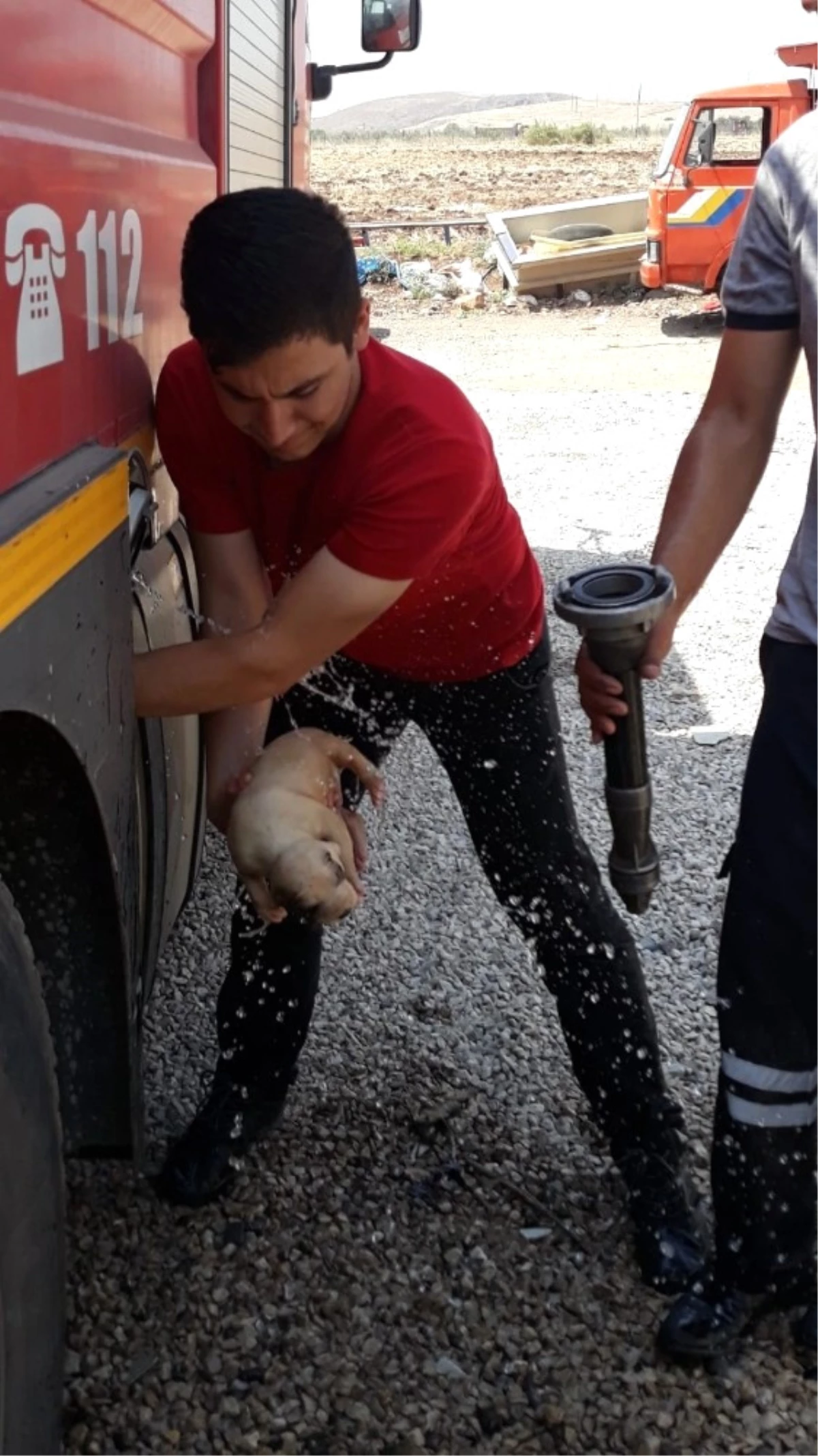 Boruya Sıkışan Köpeği İtfaiye Ekipleri Kurtardı