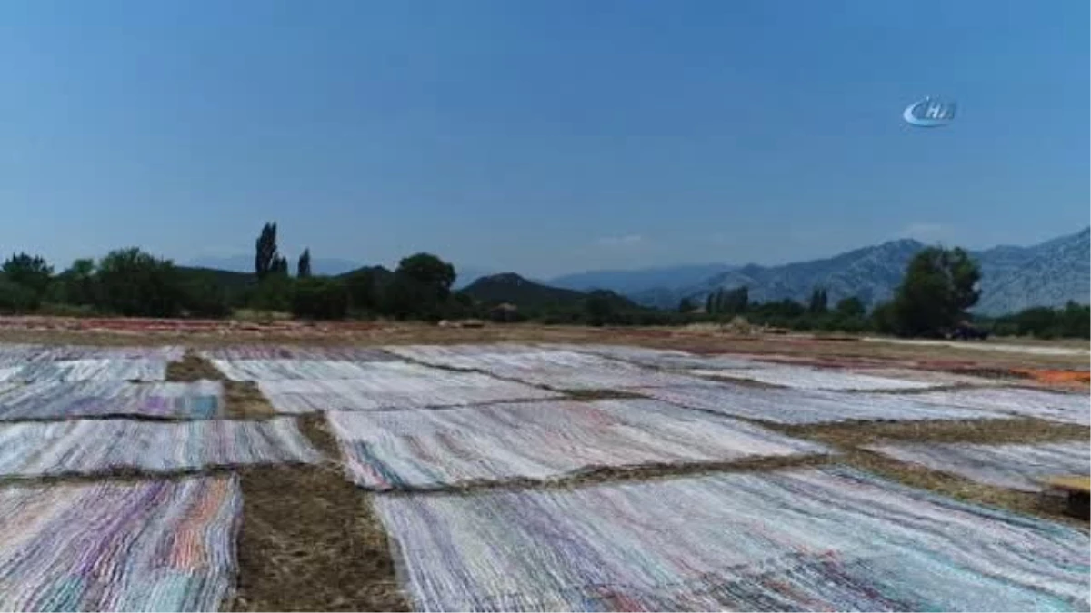 Buğday Tarlasını Halılar ile Bezediler...halılar ile Kaplanan Buğday Tarlası Havadan Görüntülendi