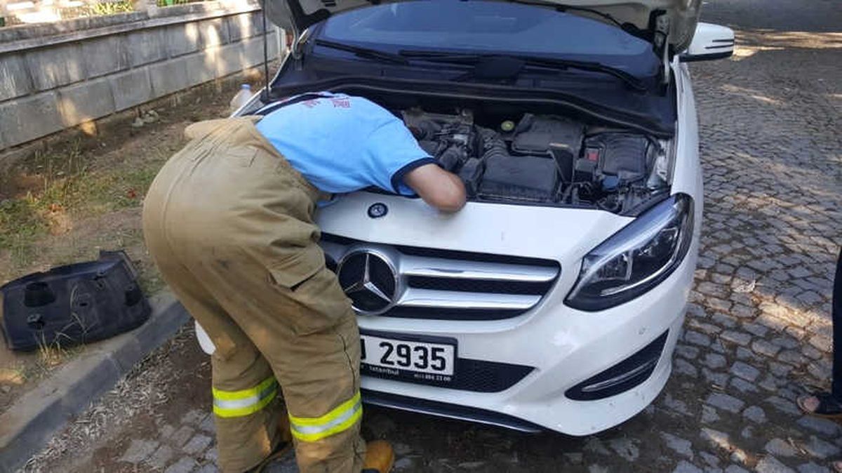 Edremit\'te Motorda Mahsur Kalan Kedi ile İtfaiye Erinin Kovalamacısı