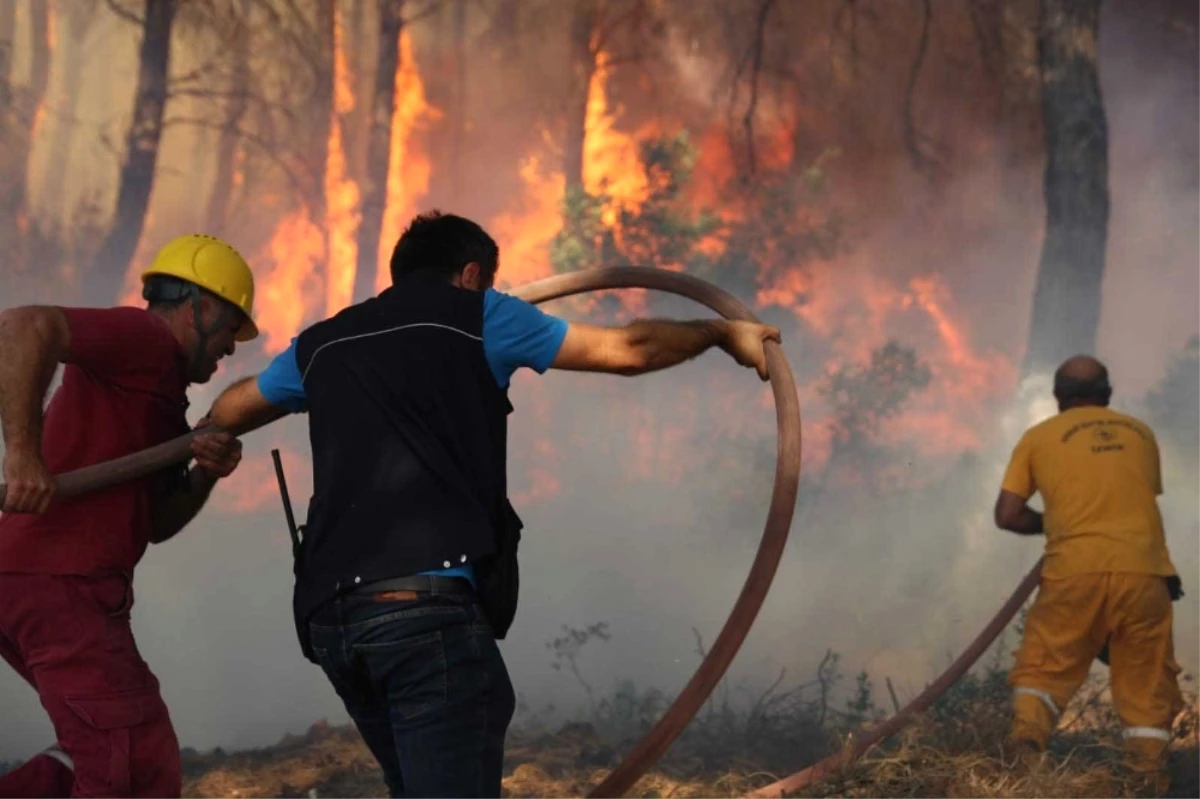 İzmir\'deki Orman Yangınına İlişkin 1 Kişi Gözaltında