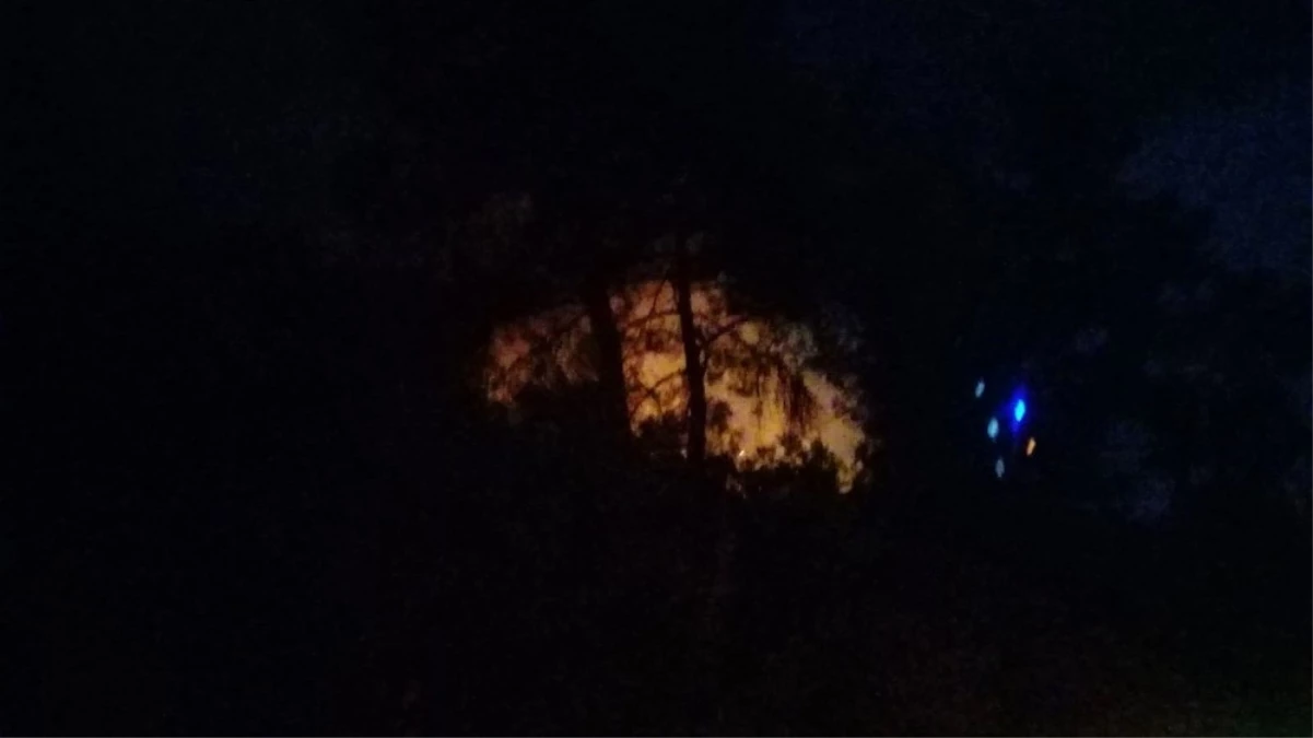 Marmaris Hisarönü\'nde Çıkan Orman Yangını Söndürüldü