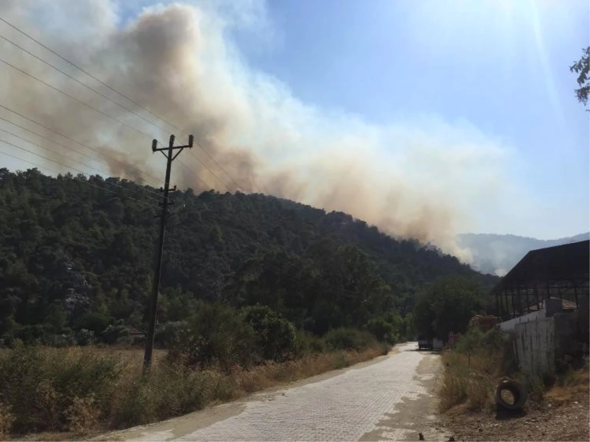Muğla\'da Orman Yangını Kontrol Altına Alındı