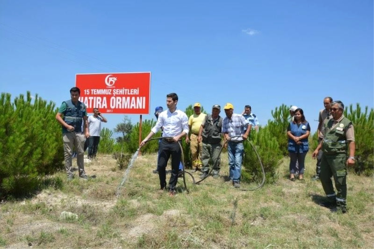 Selendi\'de \'15 Temmuz Şehitleri Hatıra Ormanı\' Oluşturuldu