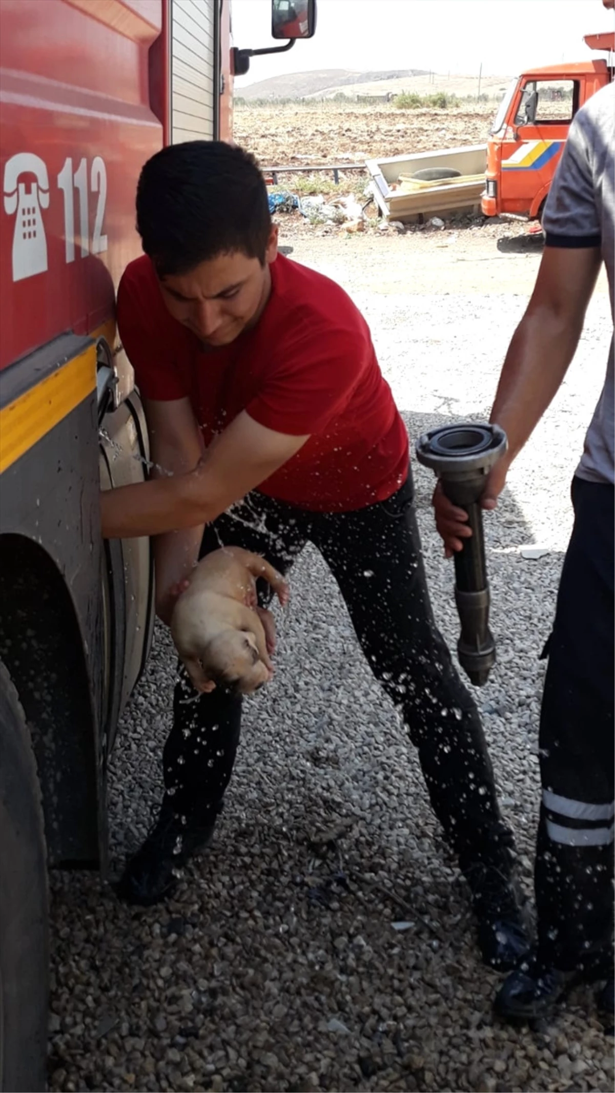 Su Borusuna Sıkışan Yavru Köpekler Kurtarıldı