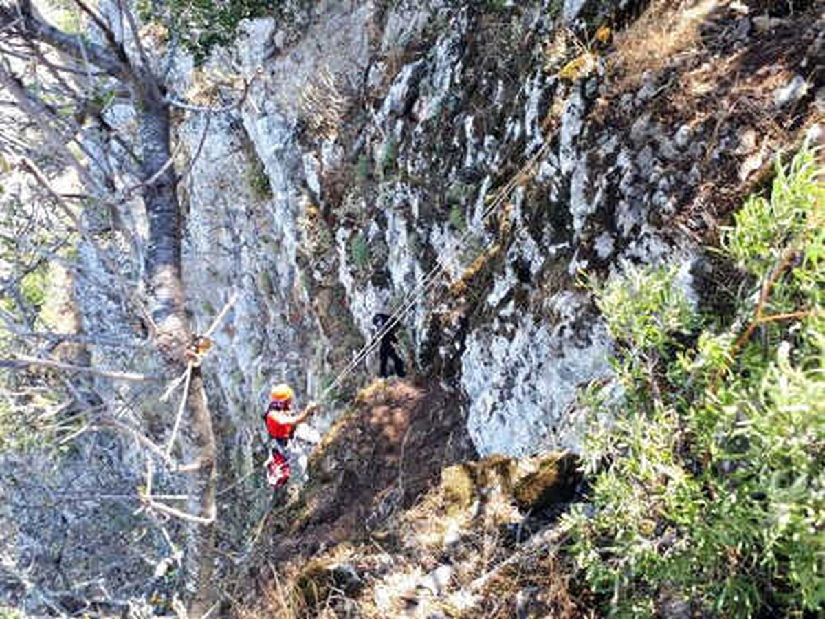 Uçurumda Mahsur Kalan Oğlağı, Akut Ekibi Kurtardı