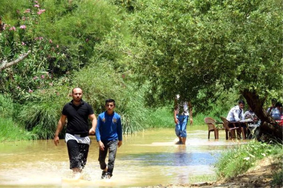 Afrin Özgürleşti, Suriyeliler 5 Yıl Sonra Piknik Yaptı