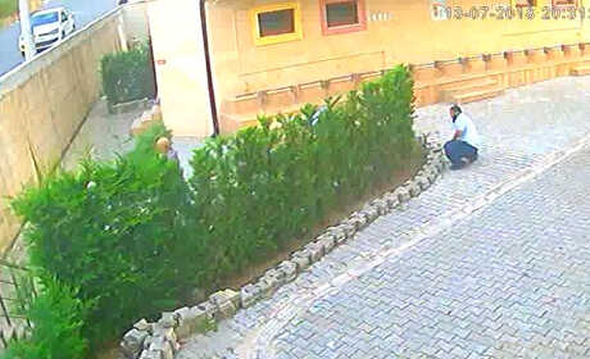 Cemaat Namazı Bitirmeden 31 Ağacı Kesip, Götürdüler