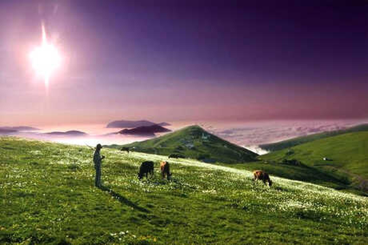 Karadeniz\'in Göçle Renklenen Yaylaları