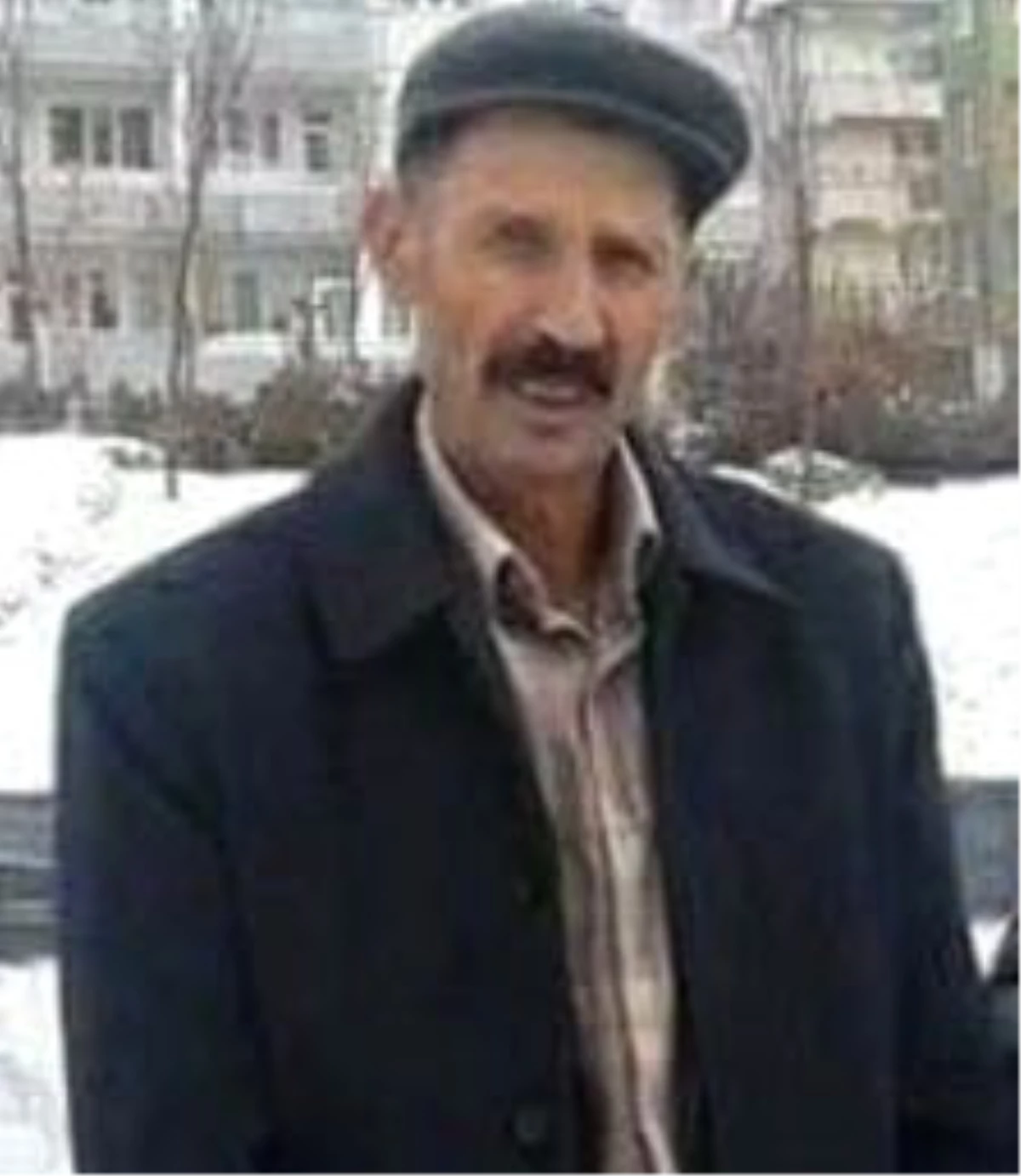 Kars\'ta Ayının Saldırısına Uğrayan Köylü Hayatını Kaybetti