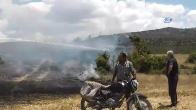 Konya'da Ormanlık Alanda Yangın - Son Dakika