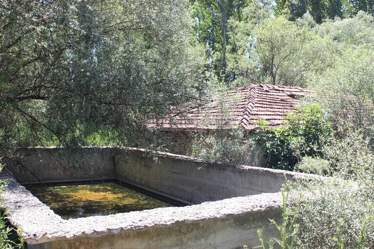 Osmanlı Mirası Tarihi Hamam Kaderine Terk Edildi