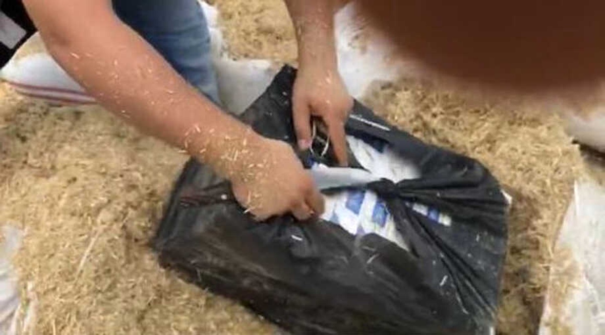 Saman Arasındaki Kaçak Sigarayı "Tiryaki" Buldu