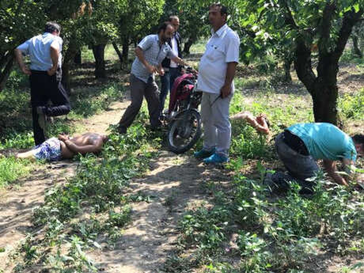 Uyuşturucu Satıcıları Zeytinlikte Yakalandı