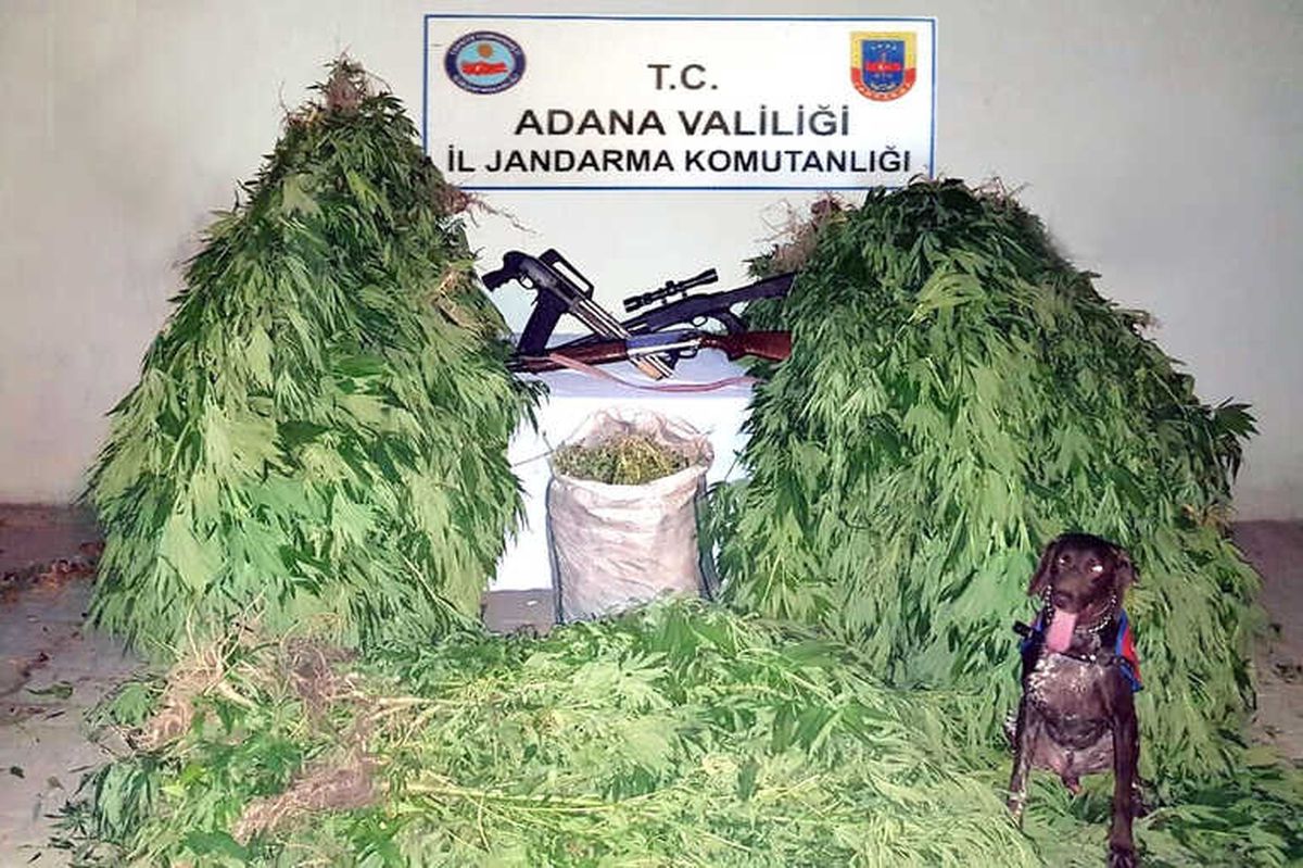 Adana\'da Uyuşturucu Operasyonu