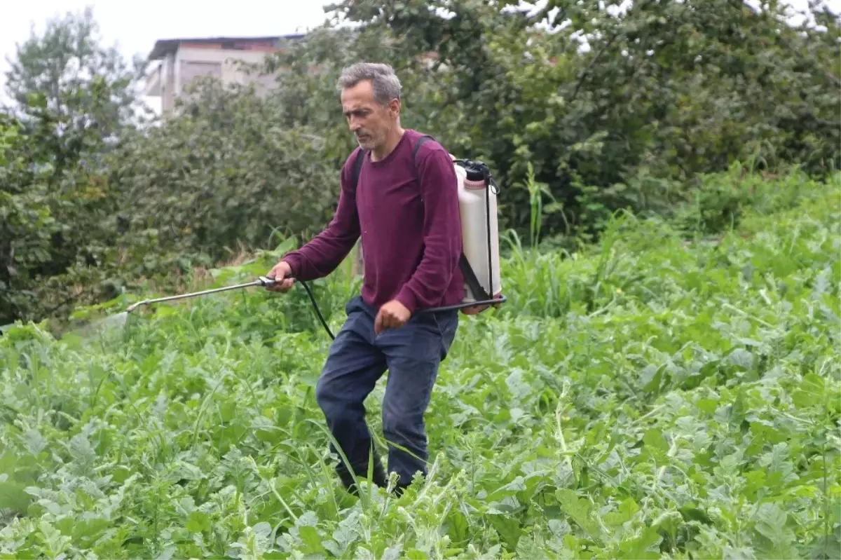 Hep Zarar Etti Yılmadı, Sonunda Koltuk Yıkama İşinde Başarılı Oldu