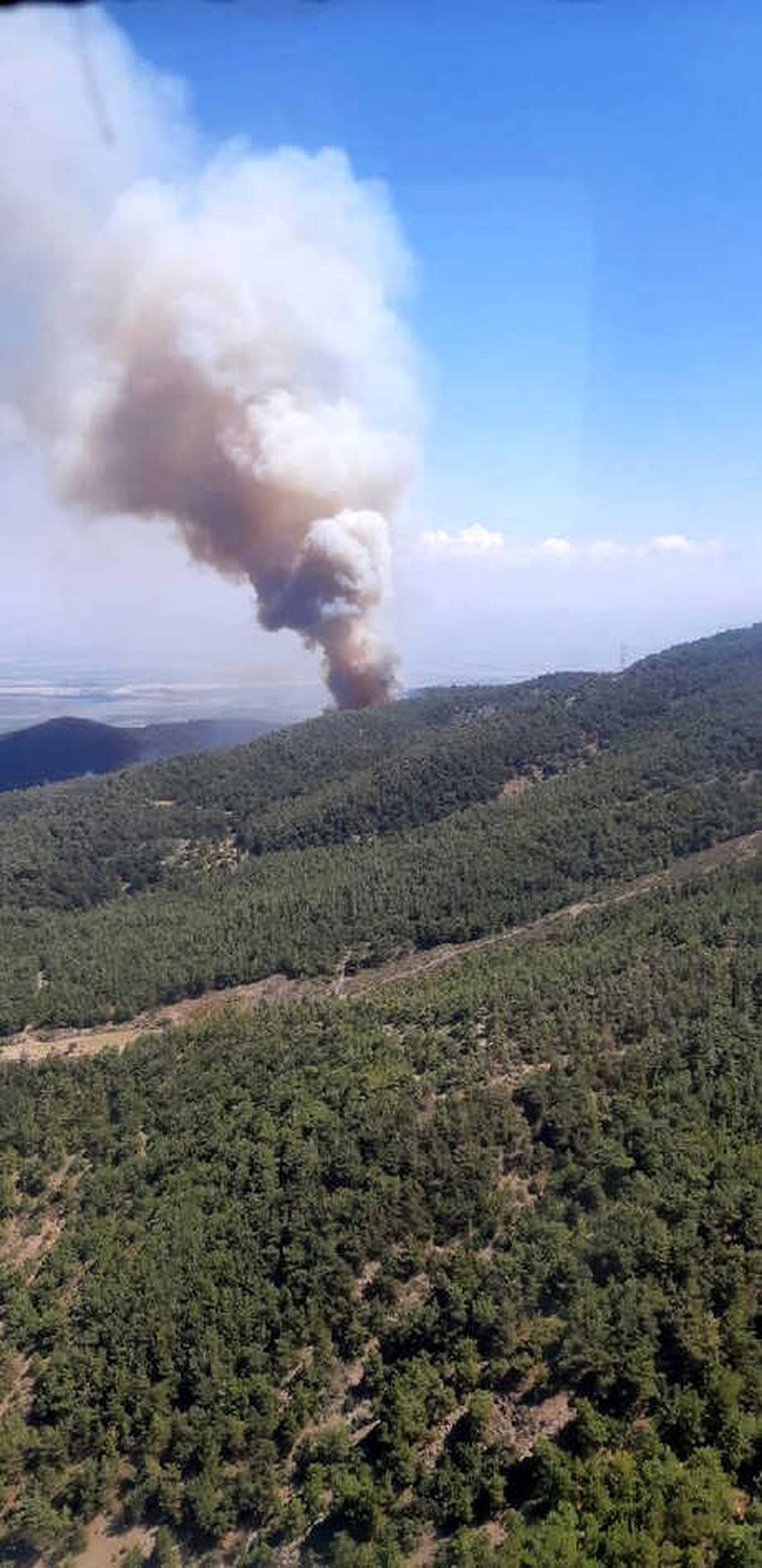 Hatay\'da Orman Yangını