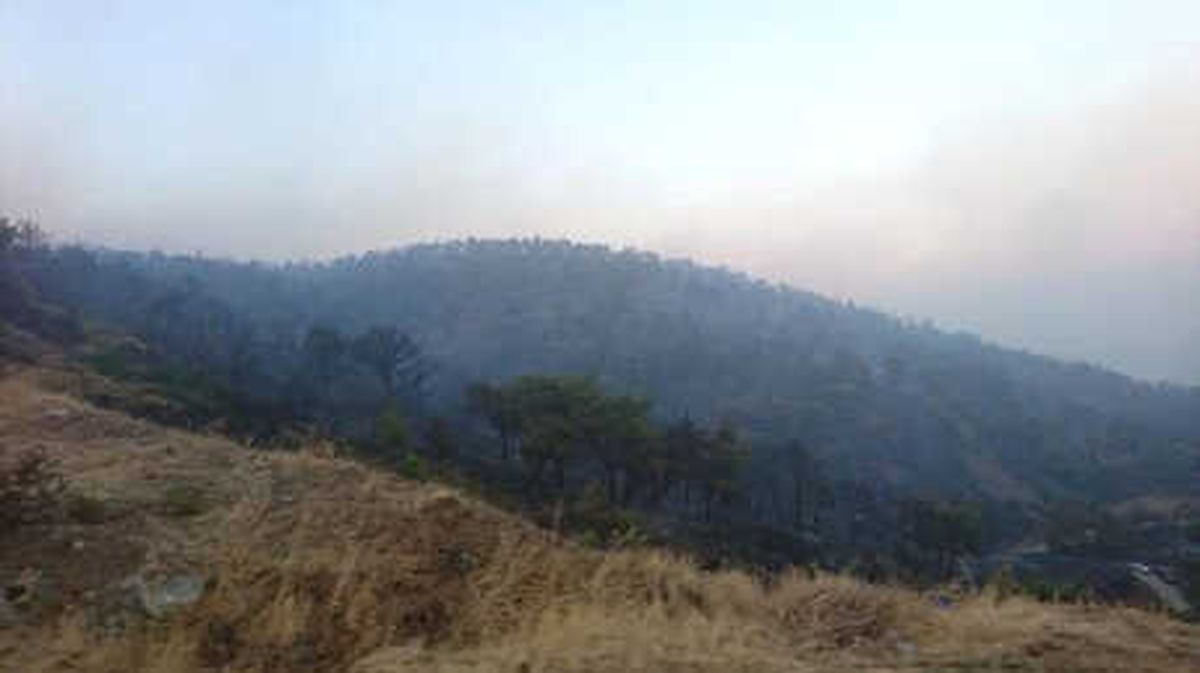Hatay\'da Orman Yangını (2)