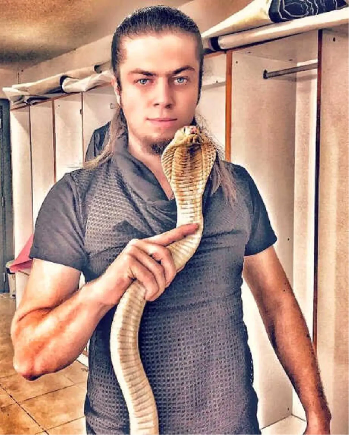 İllüzyonist Aref\'i Kobra Yılanı Isırdı
