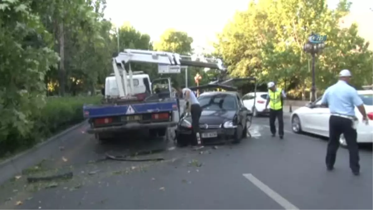 Kontrolden Çıkan Ağaç Ağacı Devirerek Durdu