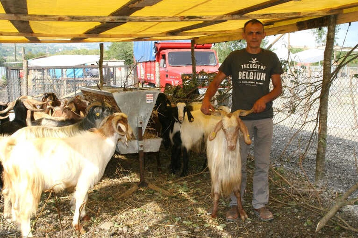 Kurban Kesim Yeri ve Kesim Ücretleri Belli Oldu