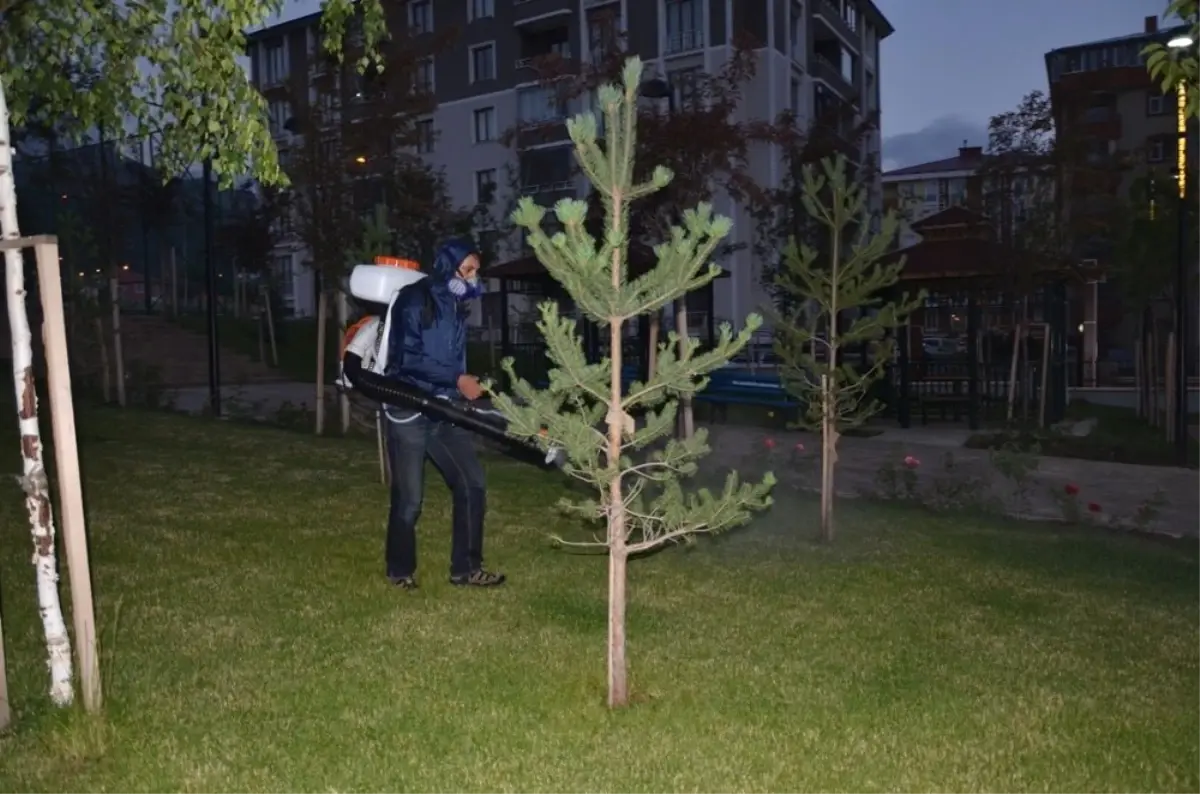 Palandöken Belediyesi Park İlaçlama Çalışmalarına Başladı