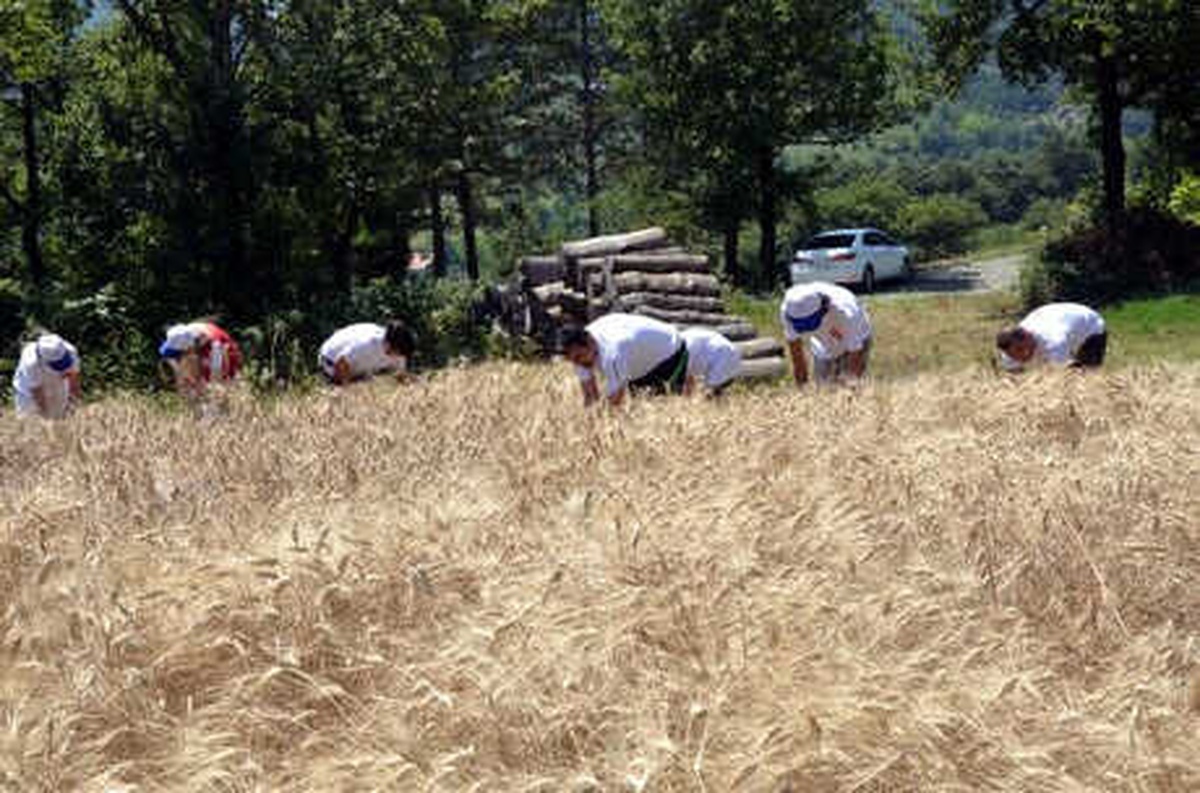Sanal Tarla Oyunları Yerine Gerçek Tarlada Buğday Ekip, Ekmek Yaptılar