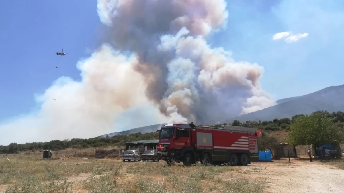 Torbalı Kaymakamı Orman Yangınındaki Acı Bilançoyu Açıkladı