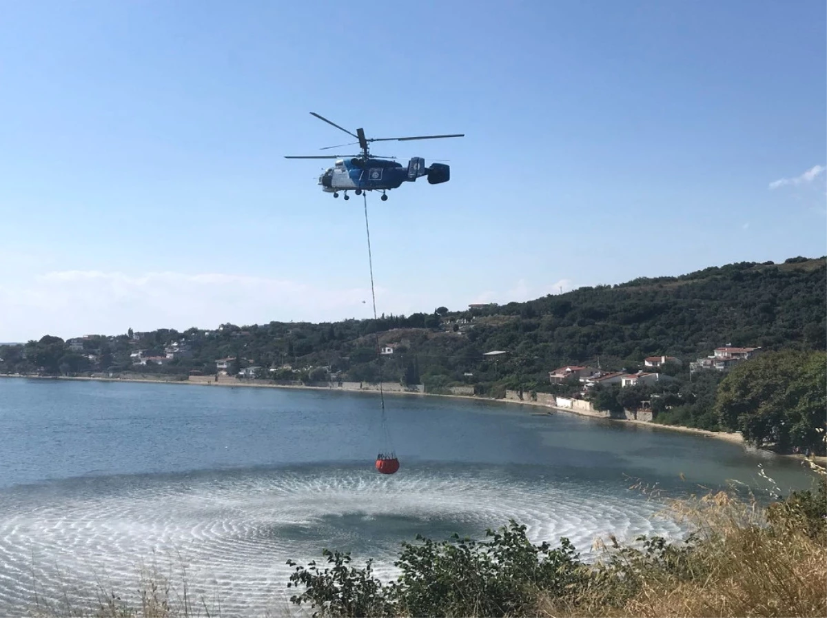 Yol Kenarında Başlayan Yangın Ormanlık Alana Sıçradı