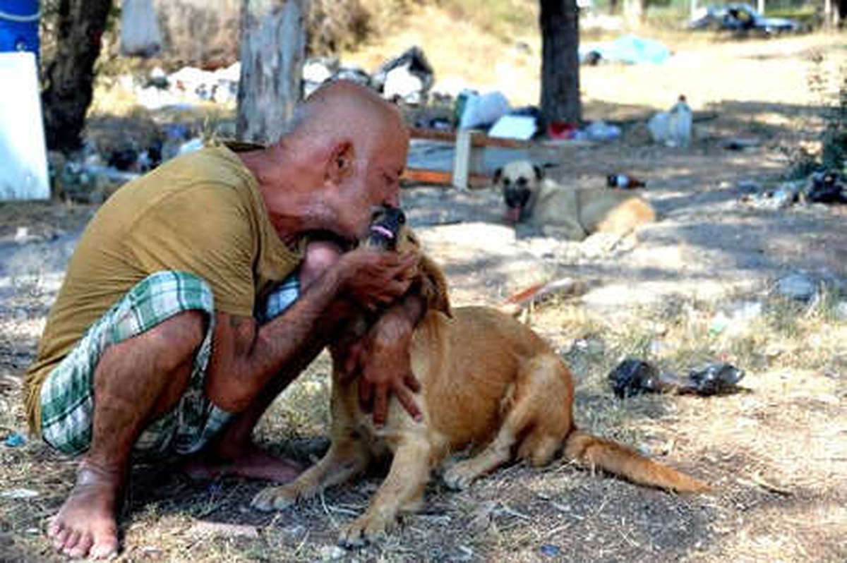 12 Yıldır Sokakta Yaşıyor, Baktığı Köpekler Hayata Bağlıyor