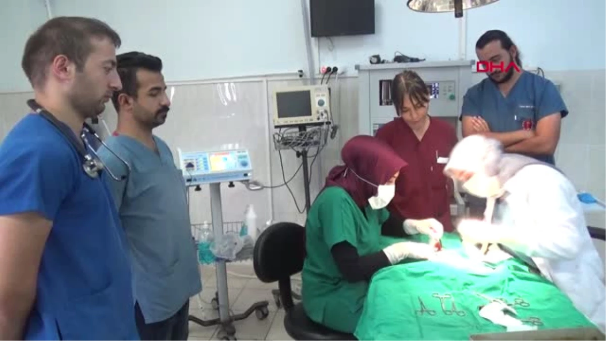 Afyonkarahisar Sokak Kedisinin Görmeyen Gözü Ameliyatla Alındı Hd