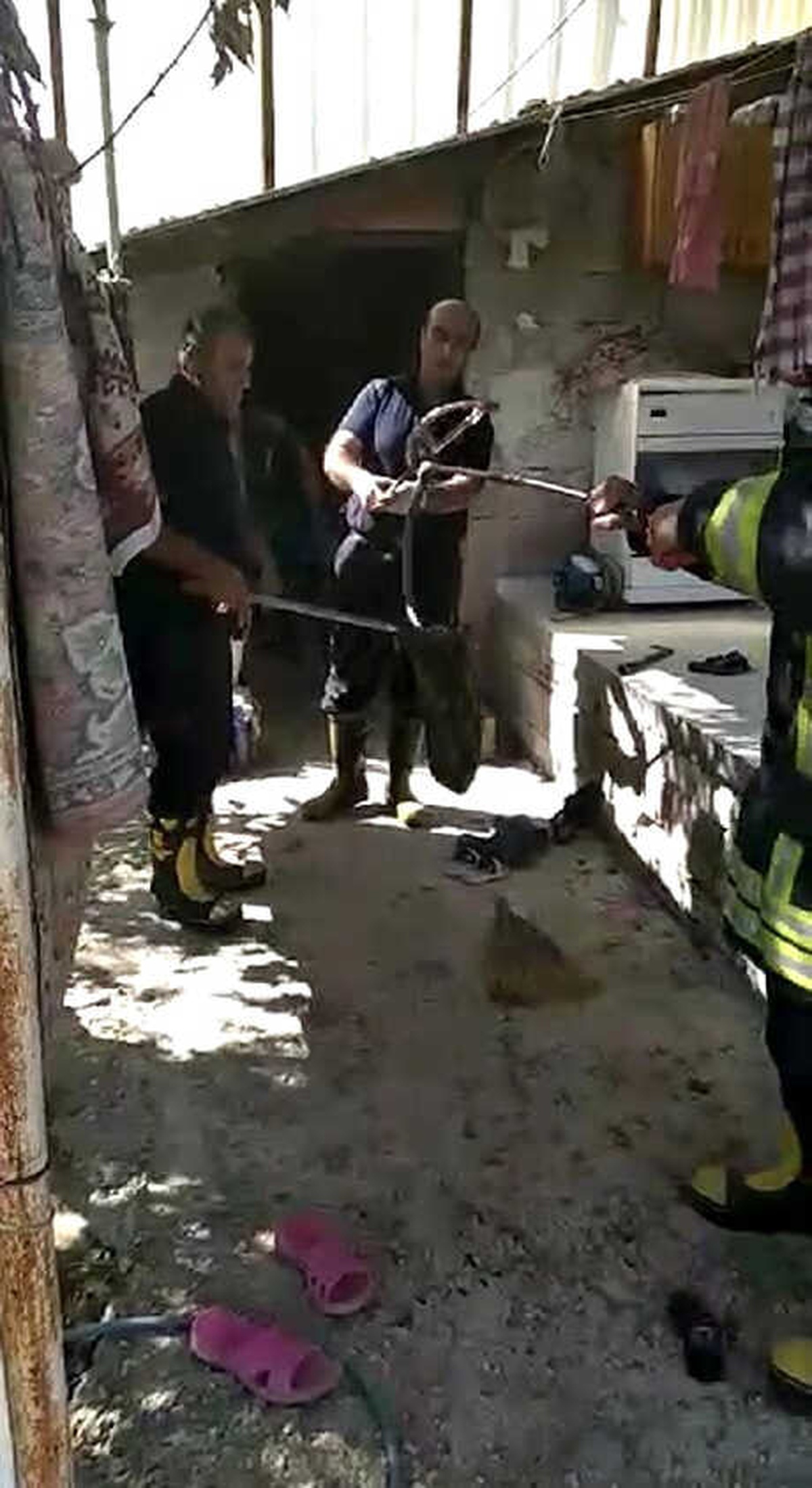 Ardiyeye Giren Yılanı İtfaiye Çıkardı