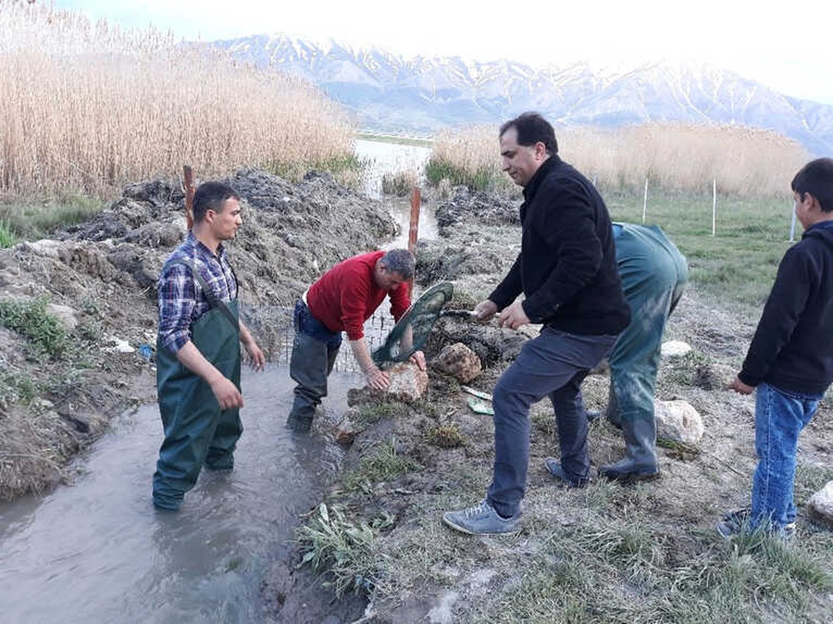 Av Yasağı Döneminde 141 Ton İnci Kefali Ele Geçirildi