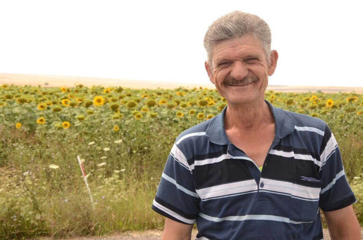 Ayçiçeği Üretici Bu Yıl Umutlu