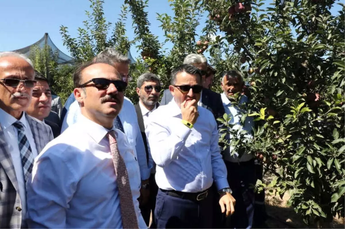 Bakan Pakdemirli, Yozgat\'ta Meyve Bahçesini Gezdi