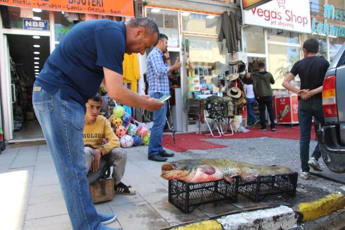 Dev Yayın Balığı Görenleri Şaşırttı